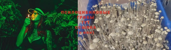 трава Богородицк