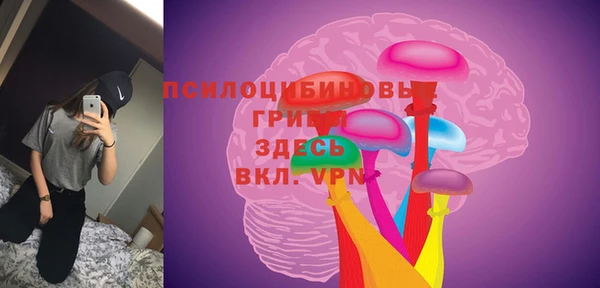 трава Богородицк