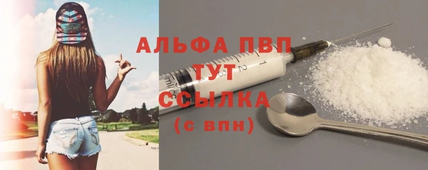 шишки Бородино