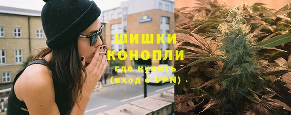 гидропоника Богданович
