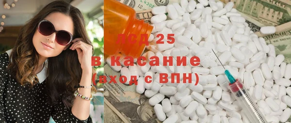 шишки Бородино