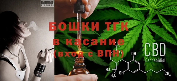 гидропоника Богданович