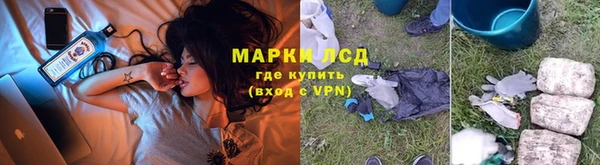 трава Богородицк