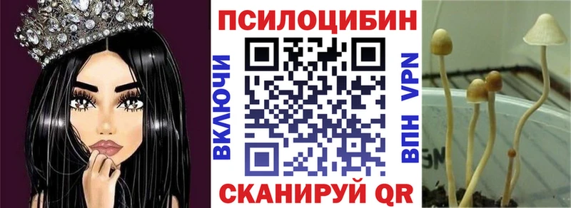 купить   Чишмы  Псилоцибиновые грибы Magic Shrooms 